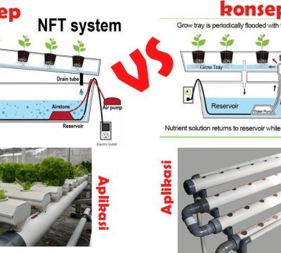 Mengenal Sistem Hidroponik NFT dan DFT: Mana yang Lebih Cocok untuk Budidaya ?